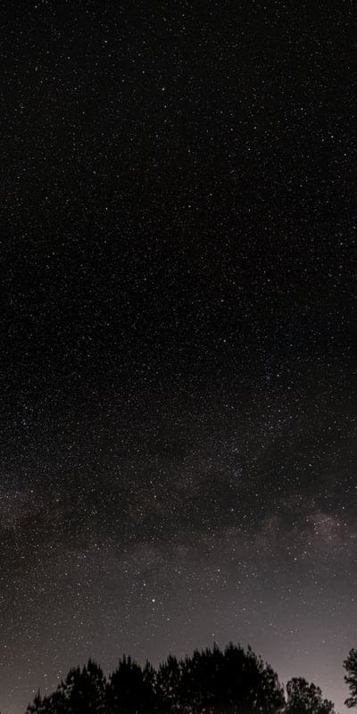 Night sky, Stars, Forest, Milky Way, Silhouette, Dark, Cosmic, Celestial, Nature, Serene, Astrophotography, Outdoors, Quiet, Universe, Peaceful, Starry, Sky, Wilderness, Black, Immense