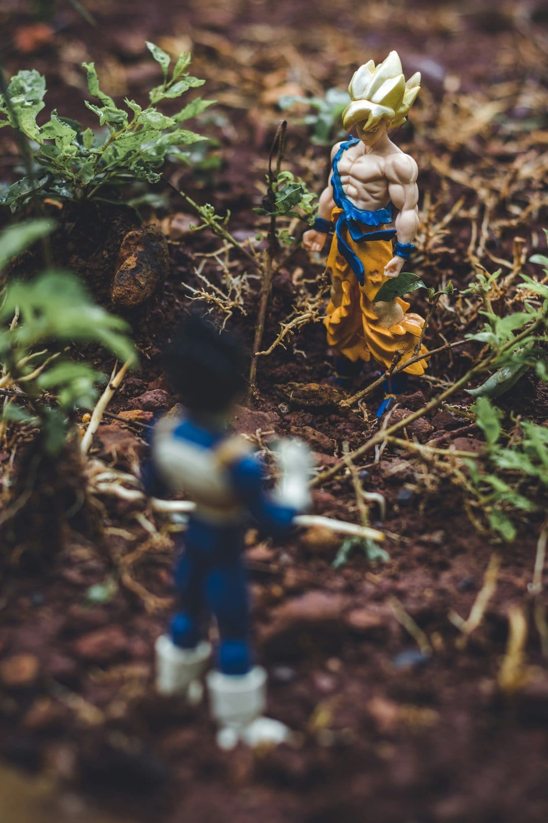 Goku and Vegeta action figures face each other on a dirt path surrounded by dry branches and green leaves.