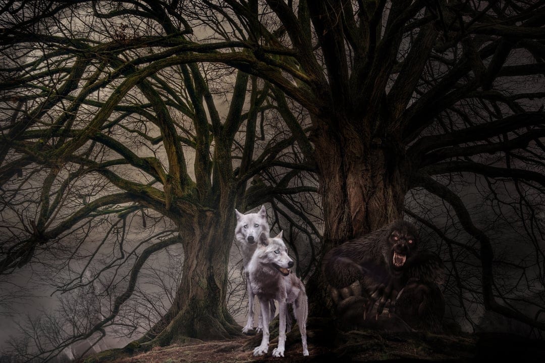 Two white wolves and a snarling dark werewolf stand among gnarled trees in a misty, shadow-filled gothic forest.