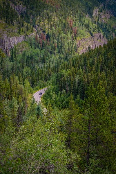 forest, road, trees, car, branches, mobile wallpaper, android wallpaper, iPhone wallpaper, phone wallpaper