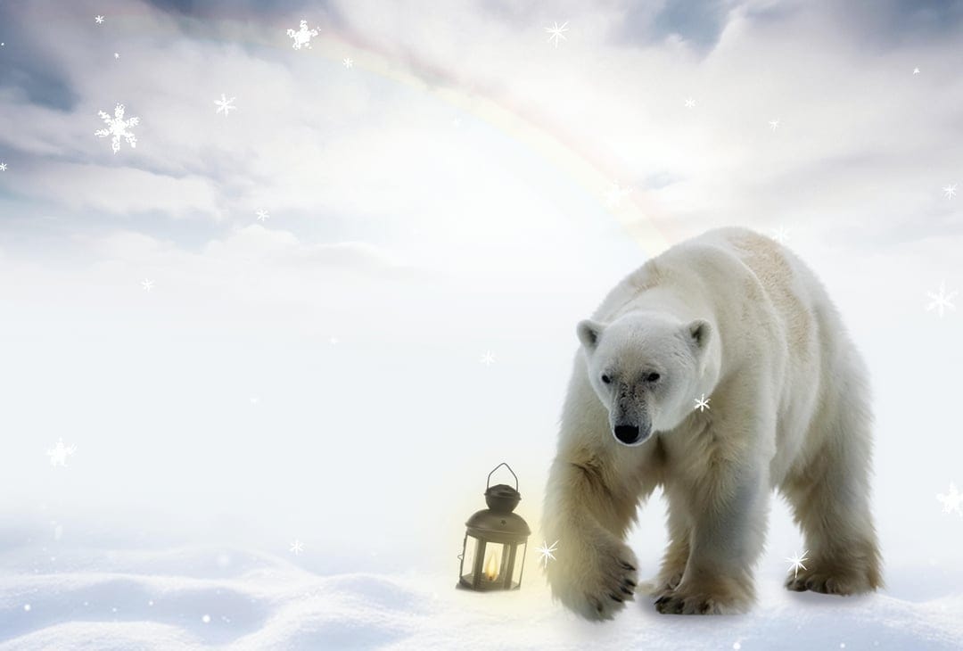 Polar bear walking past a lit vintage lantern on a snowy field during a blizzard with a cloudy sky backdrop.