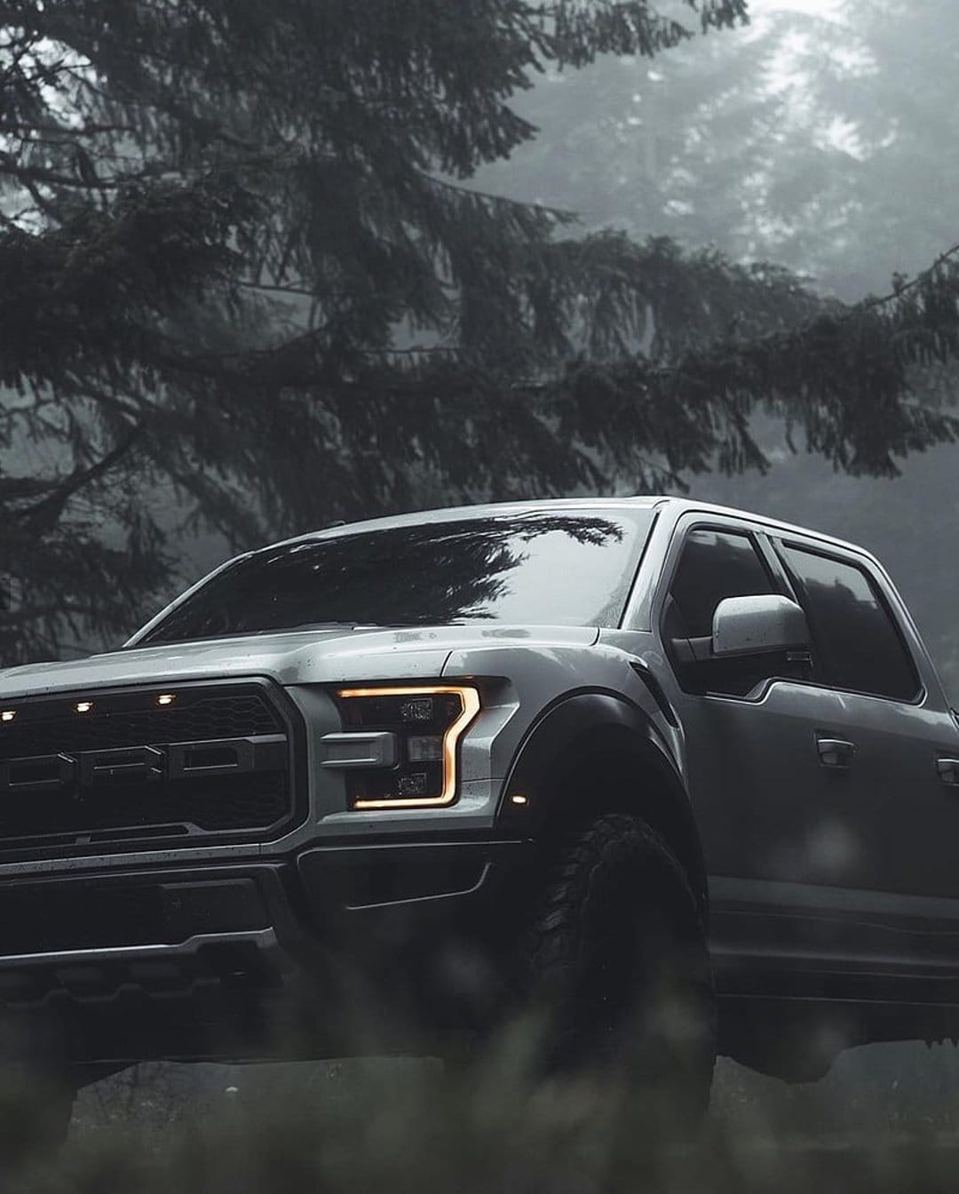 Ford Raptor truck with glowing headlights parked in a dark, misty forest surrounded by tall evergreen trees.