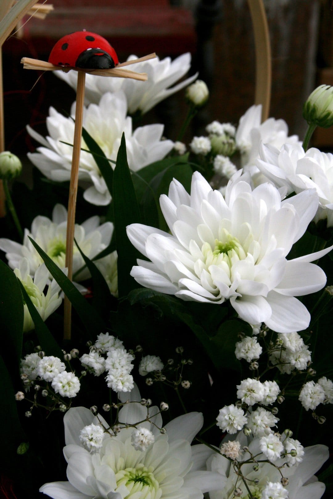 White chrysanthemum petals and a small ladybug decoration on a wooden stick in a soft-focus floral bouquet.