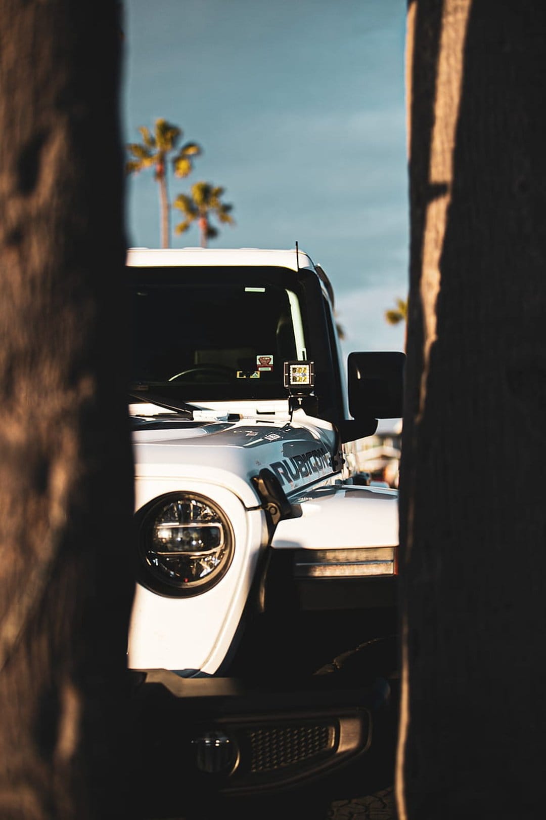 White Jeep Wrangler Rubicon with round headlight parked by tropical palm trees under a bright blue coastal sky.