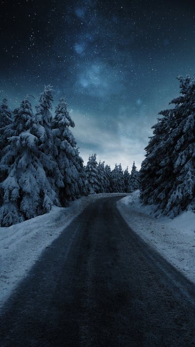 road,snow,winter,forest,spruces,milky way,starry sky