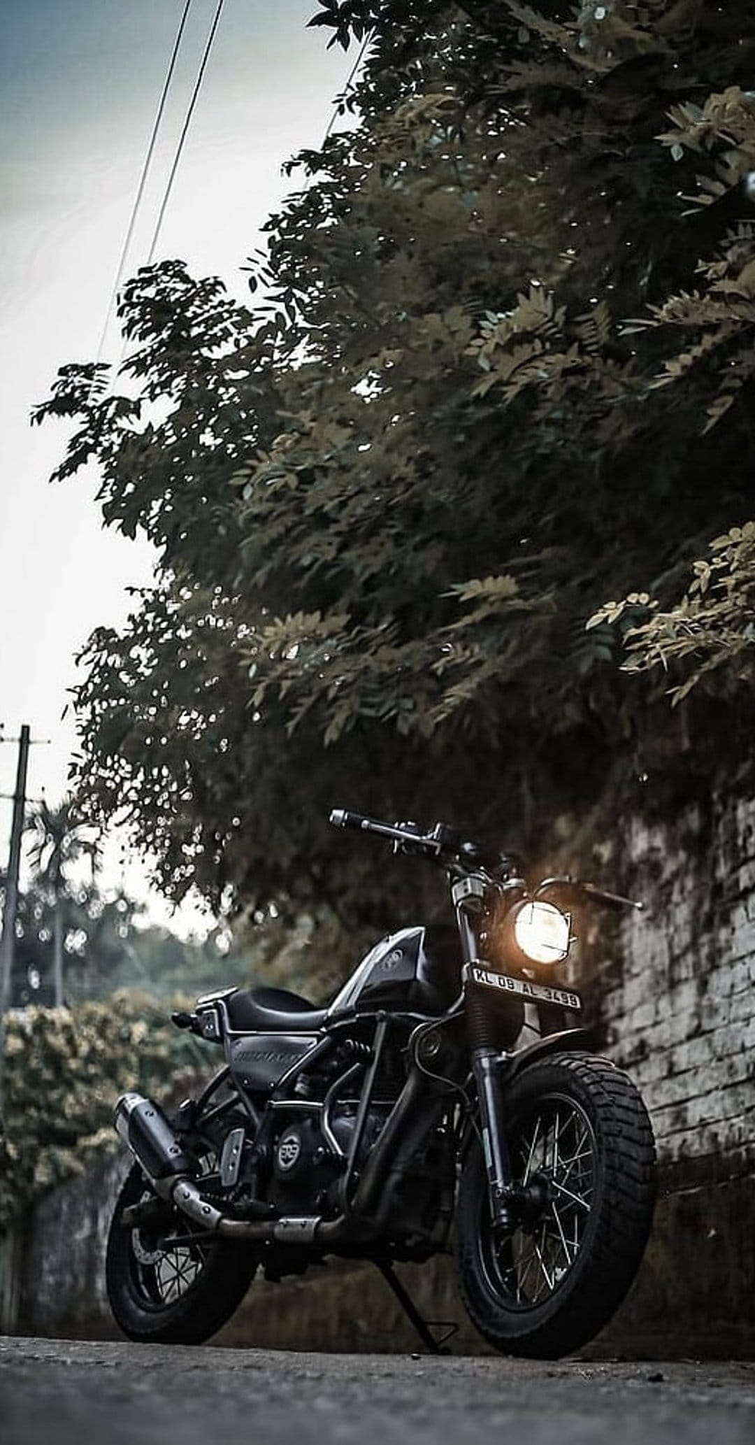 Black cruiser motorcycle with a glowing headlight parked in front of a brick wall and a large leafy tree.
