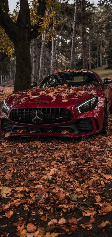 Mayurdhvajsinh, cool, car, mobile wallpaper, android wallpaper, iPhone wallpaper, phone wallpaper