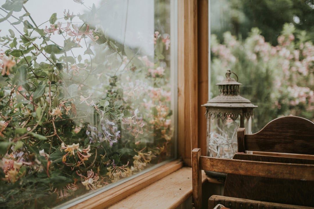 Vintage metal lantern on a windowsill beside blooming honeysuckle vines and garden greenery in soft light.