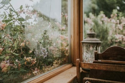 Window wallpaper,Windowbackground,garden,3d wallpaper,Iphone wallpaper