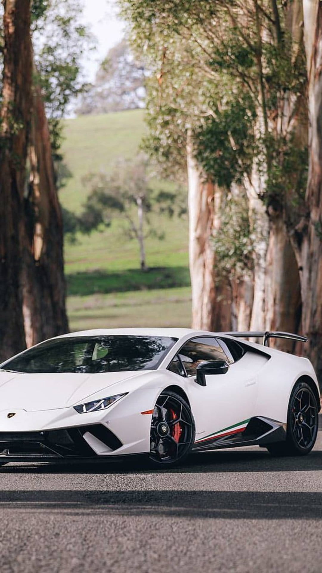 White Lamborghini Huracan Performante on a forest road with a large rear wing and red brake calipers.