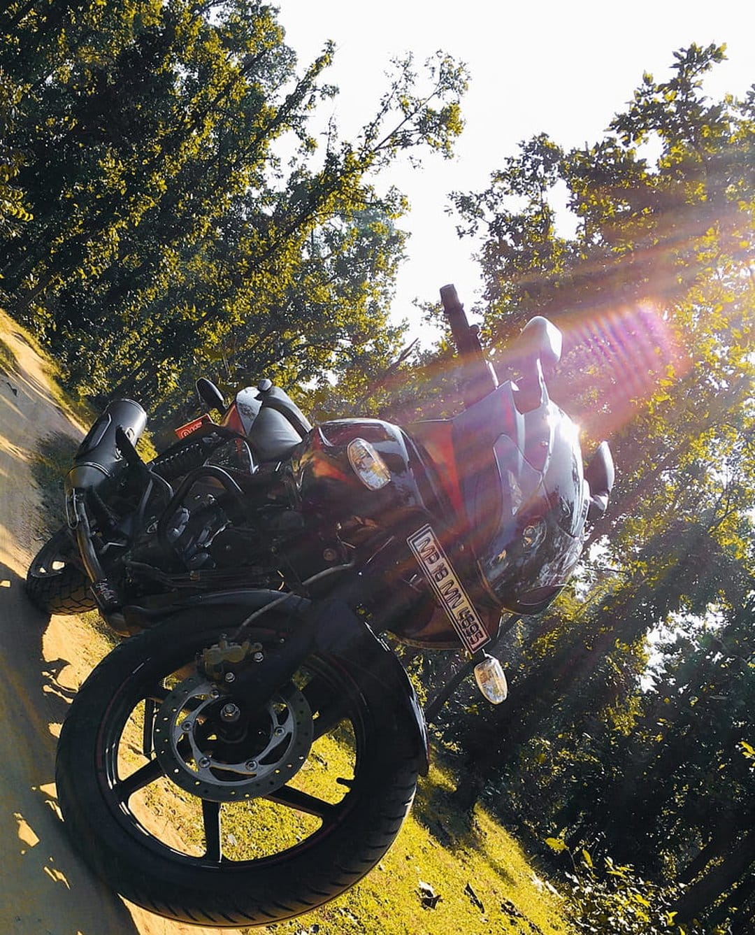 Motorcycle front wheel and fairing rest on a grassy slope beneath bright sunbeams and green forest foliage.