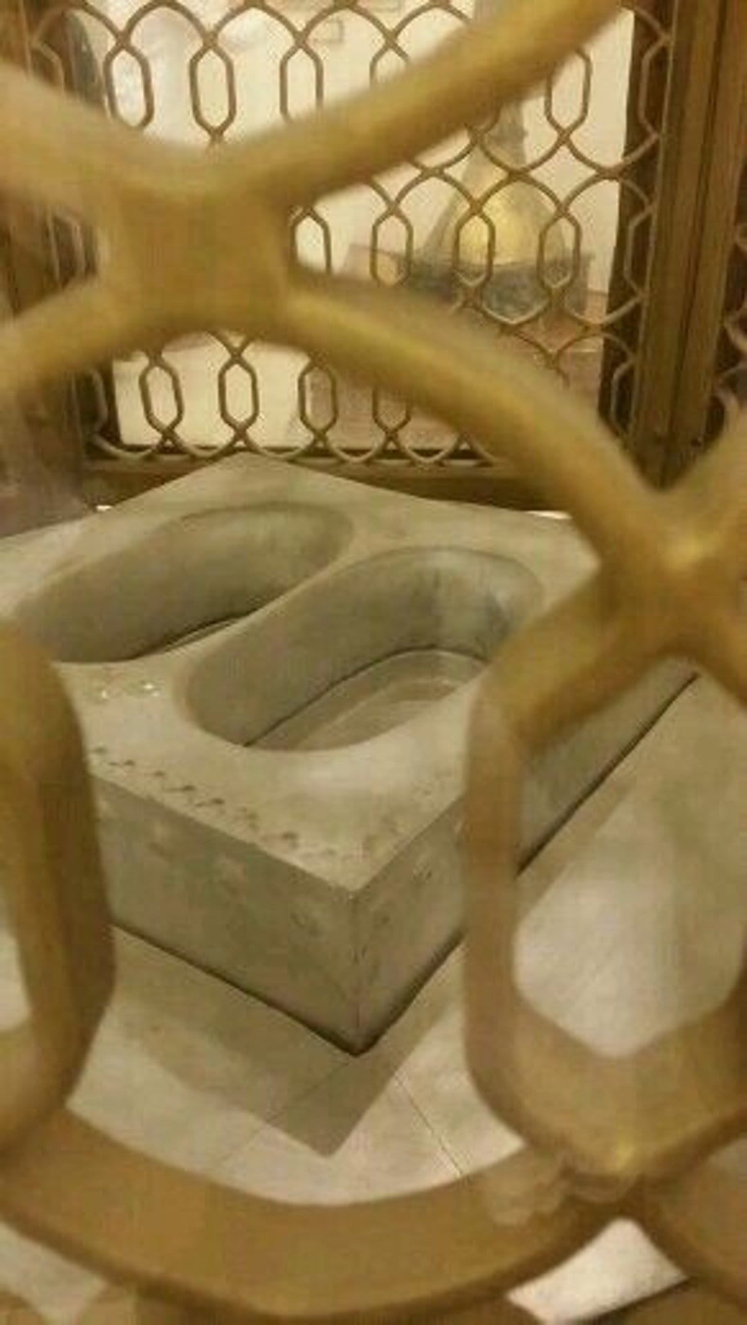 Two oval stone basins viewed through an intricate golden metal gate with historical architectural details.