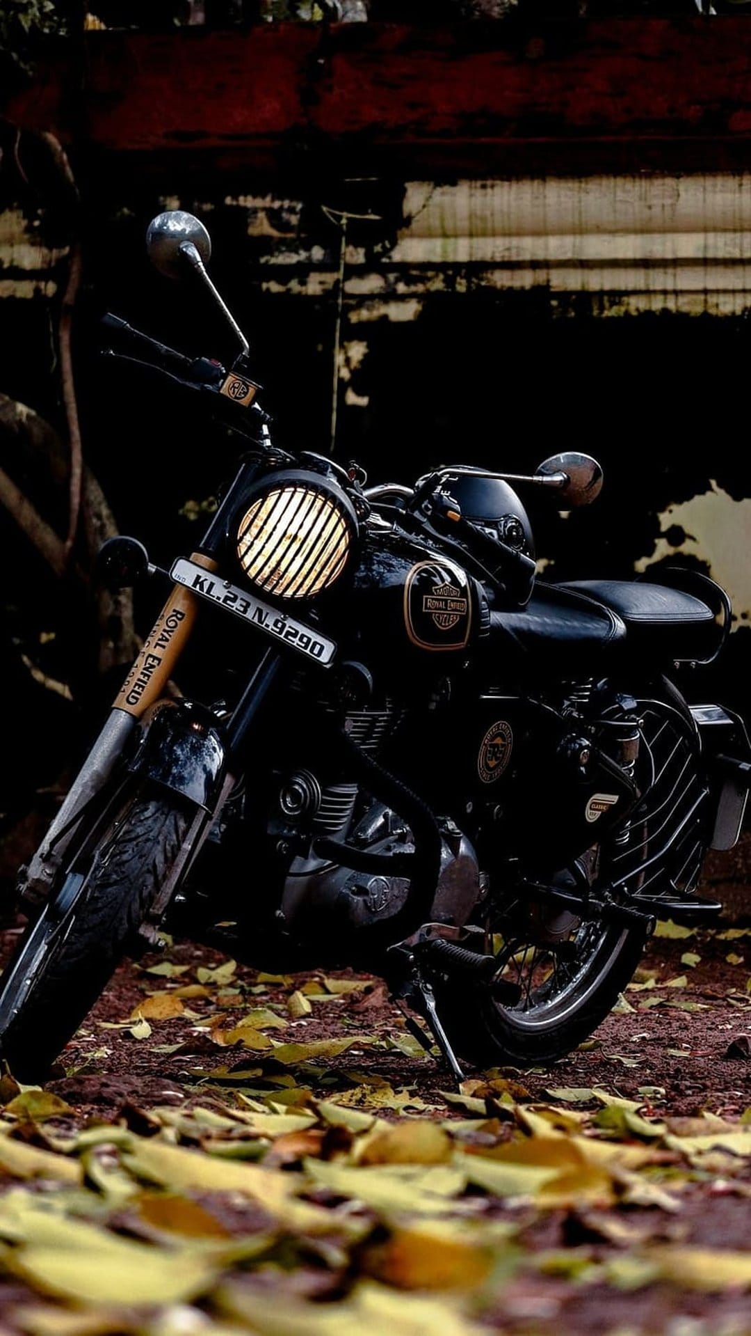 Black Royal Enfield motorcycle with a grilled headlight parked on a carpet of orange autumn leaves in a forest.