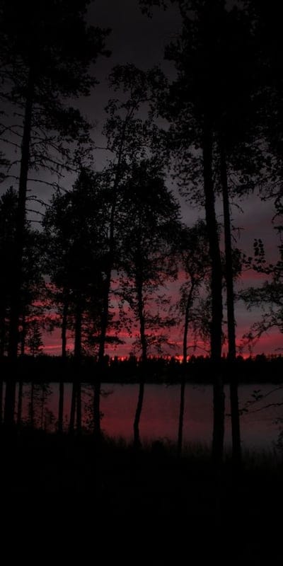 Sunset, Red Sky, Lake, Silhouette, Trees, Nature, Reflection, Fiery, Dusk, Dramatic, Water, Evening, Forest, Vibrant, Outdoors, Calm, Serene, Horizon, Tranquil, Twilight