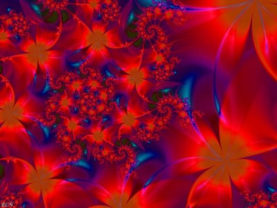 fractal,patterns,flowers,glitter