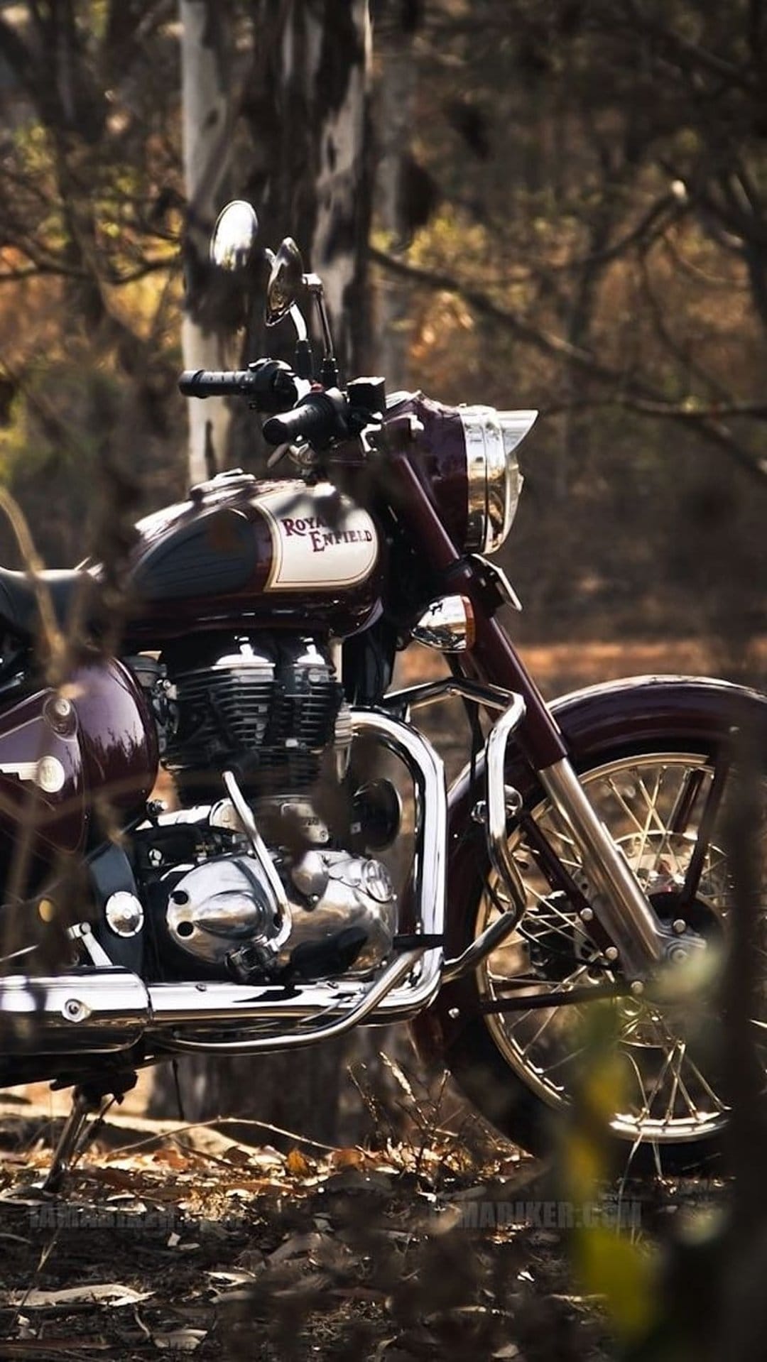 Burgundy Royal Enfield motorcycle parked on a leaf-strewn forest floor with sunbeams hitting chrome details.