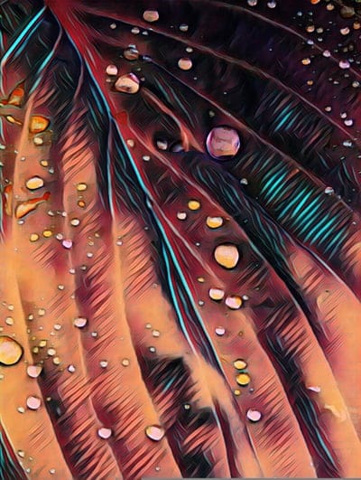abstract,wallpaper,image,color,pattern,structure background,beautiful wallpaper,gradient,images,background