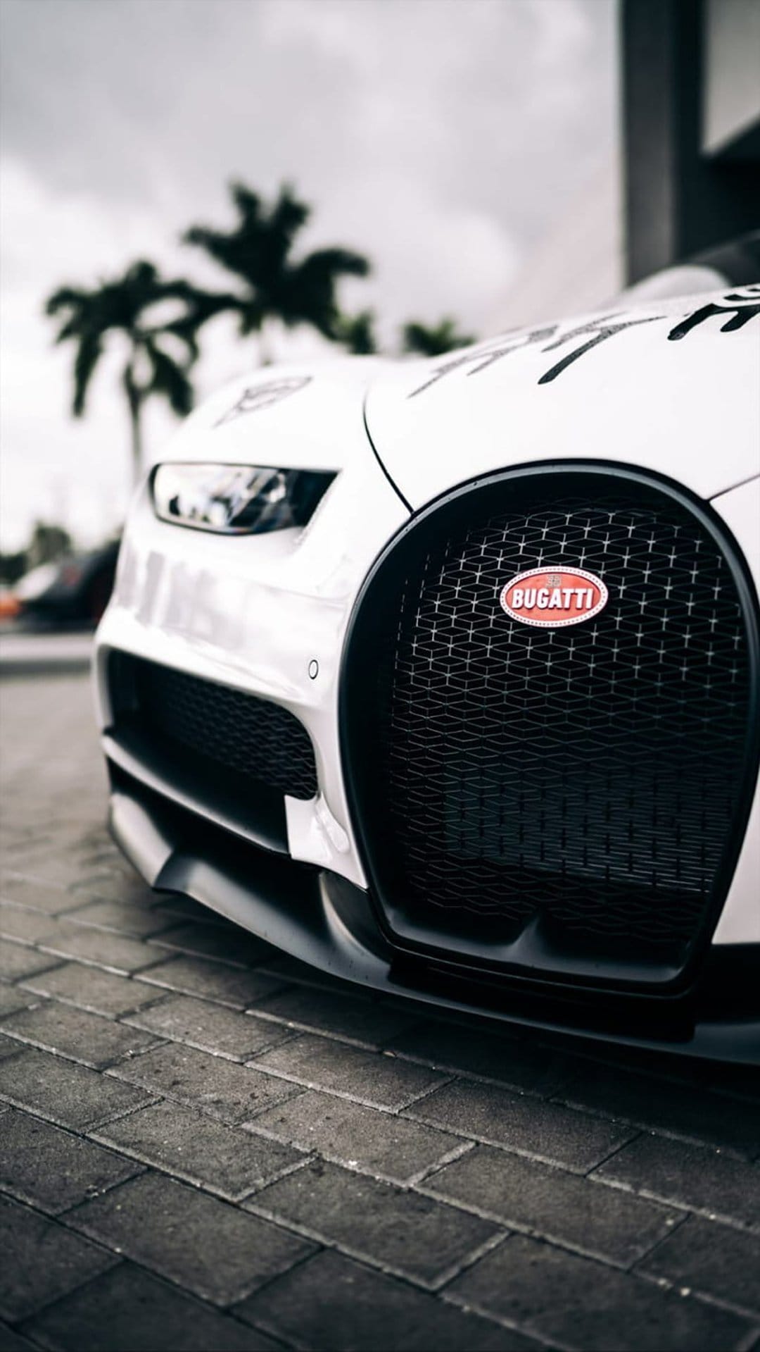 Bugatti horseshoe grille with a red logo and white bumper against a backdrop of out-of-focus palm trees.