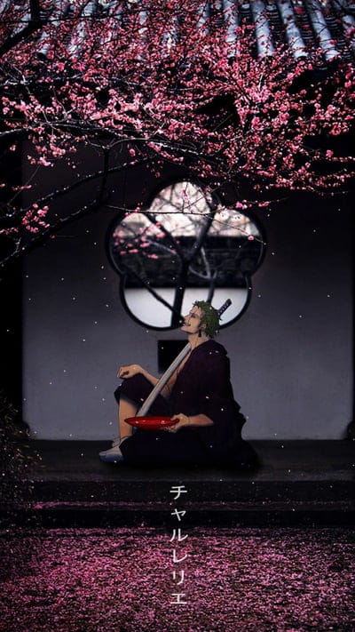 One Piece Zoro, anime, one piece, roronoa zoro, wano, zorojuro