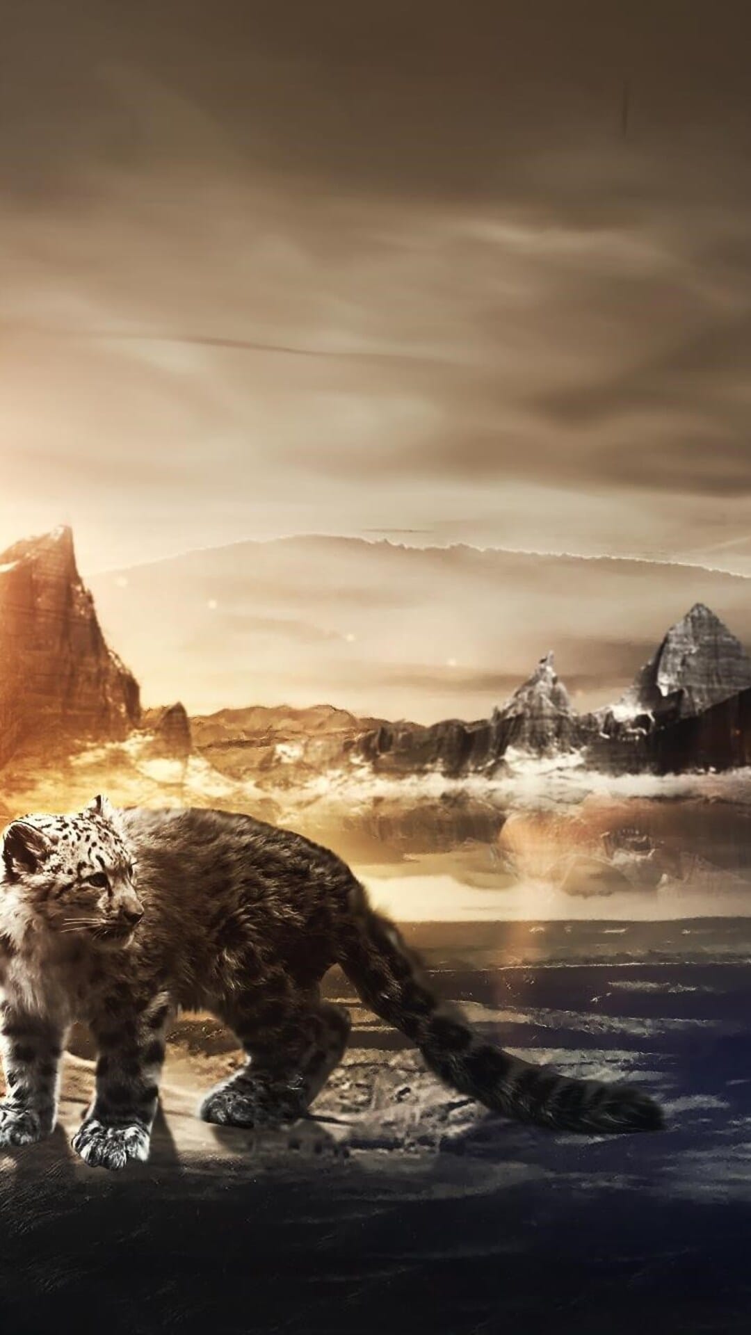 Snow leopard on a rocky ledge overlooking snowy mountain peaks under a soft orange and blue sunset sky.