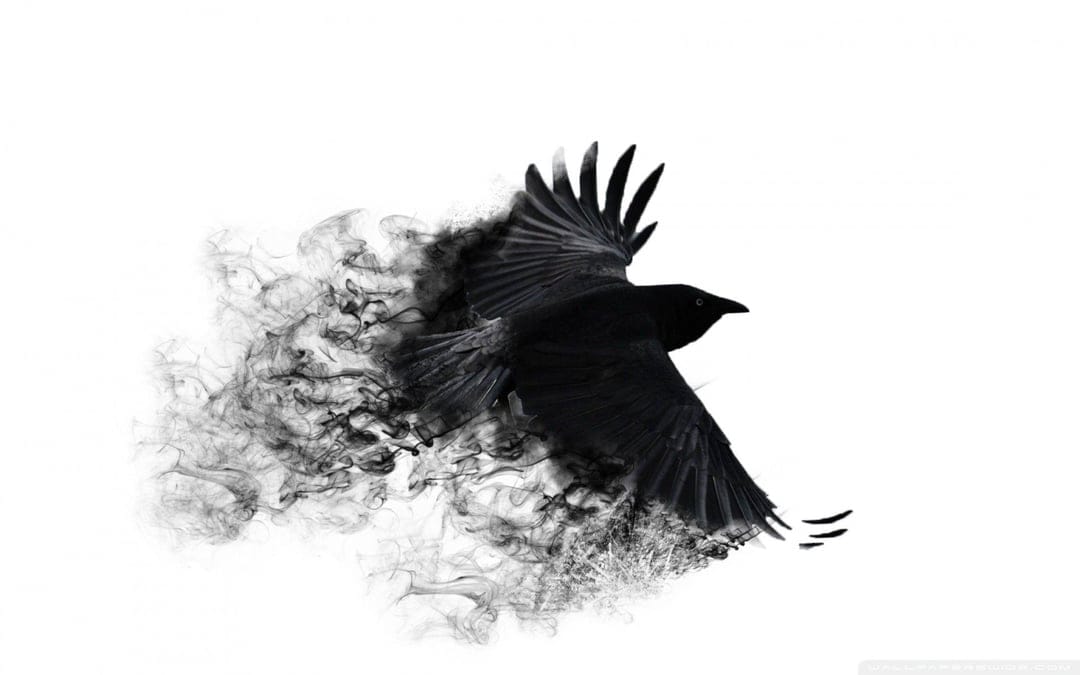 Black crow in flight with its body and wings turning into dark grey smoke against a solid white background.