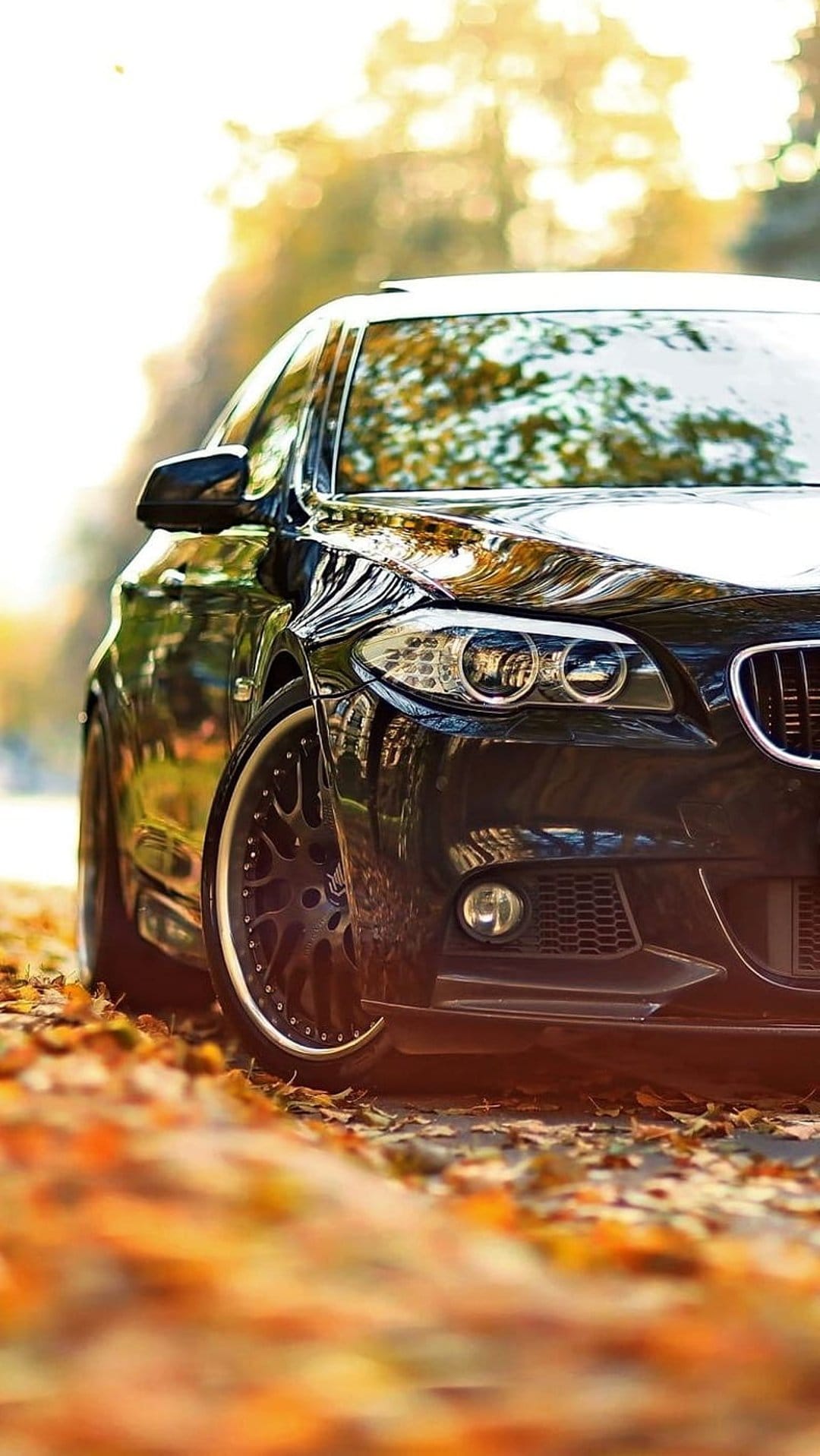 Black BMW F10 sedan parked on orange autumn leaves with sunlight reflecting on the hood and headlights.