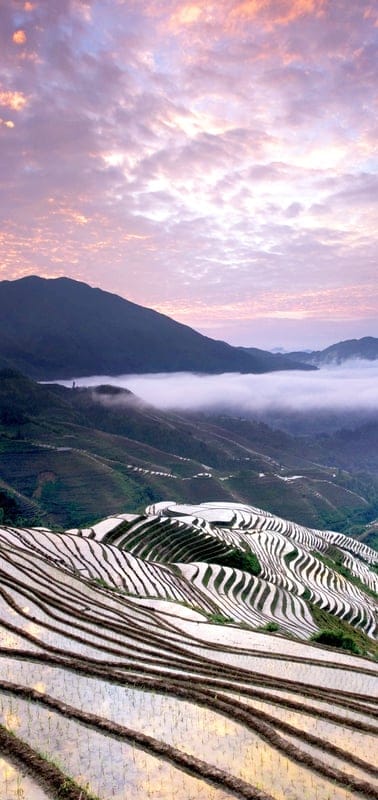 Rice terraces, Asia, landscape, agriculture, mountains, mist, clouds, sunrise, sunset, ethereal, serene, green, water, historical, scenic, travel, farming, steps, cultivation, tranquil