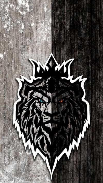 lion,king,beast,king of beasts,art