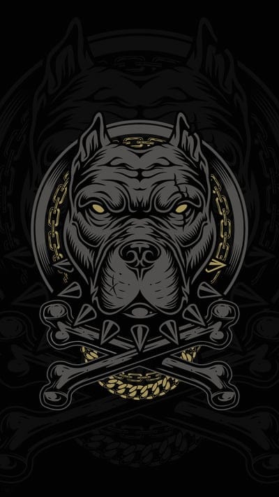 dog,art,bulldog,angry,chain,bones,gold,black,bad