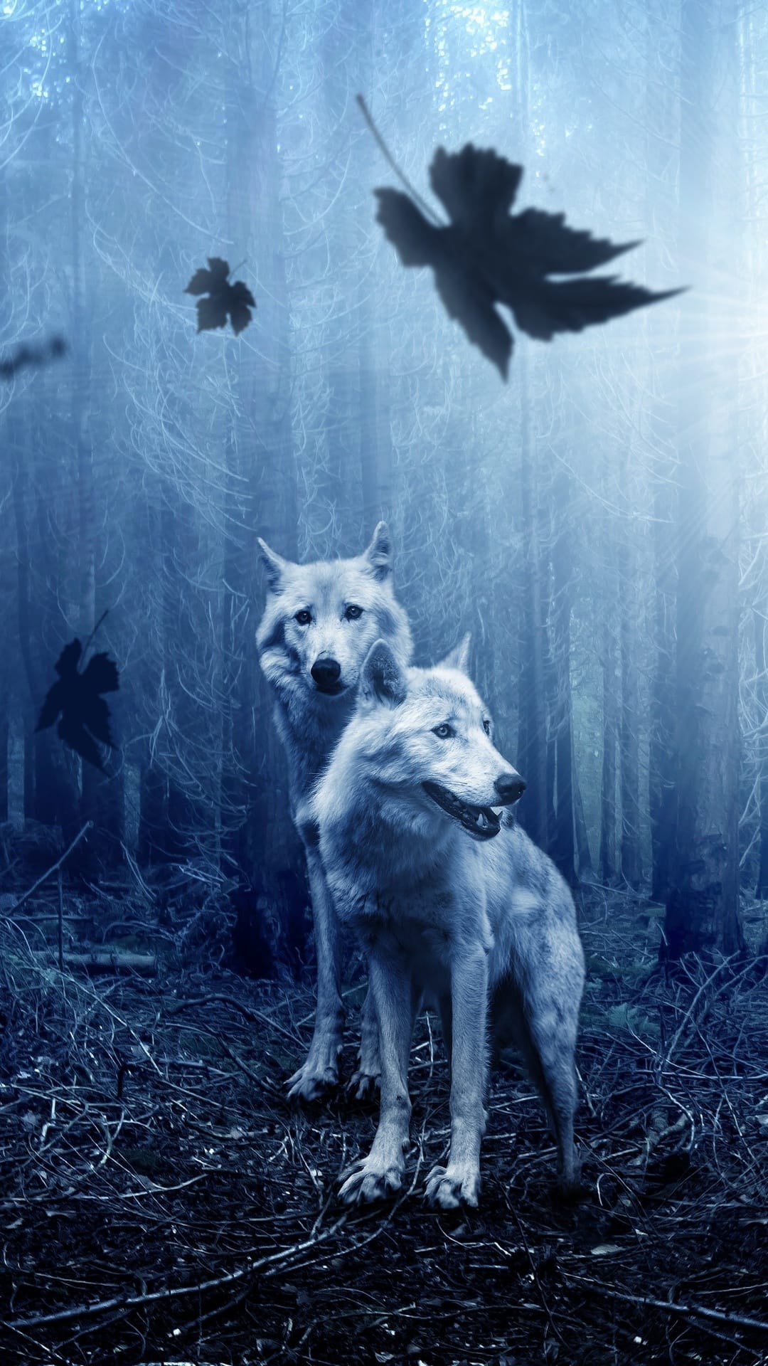 Two wolves with glowing blue outlines stand in a dark misty forest with falling leaves as a phone background.