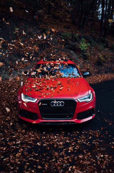 frontview,audi,redcar,cars,forest