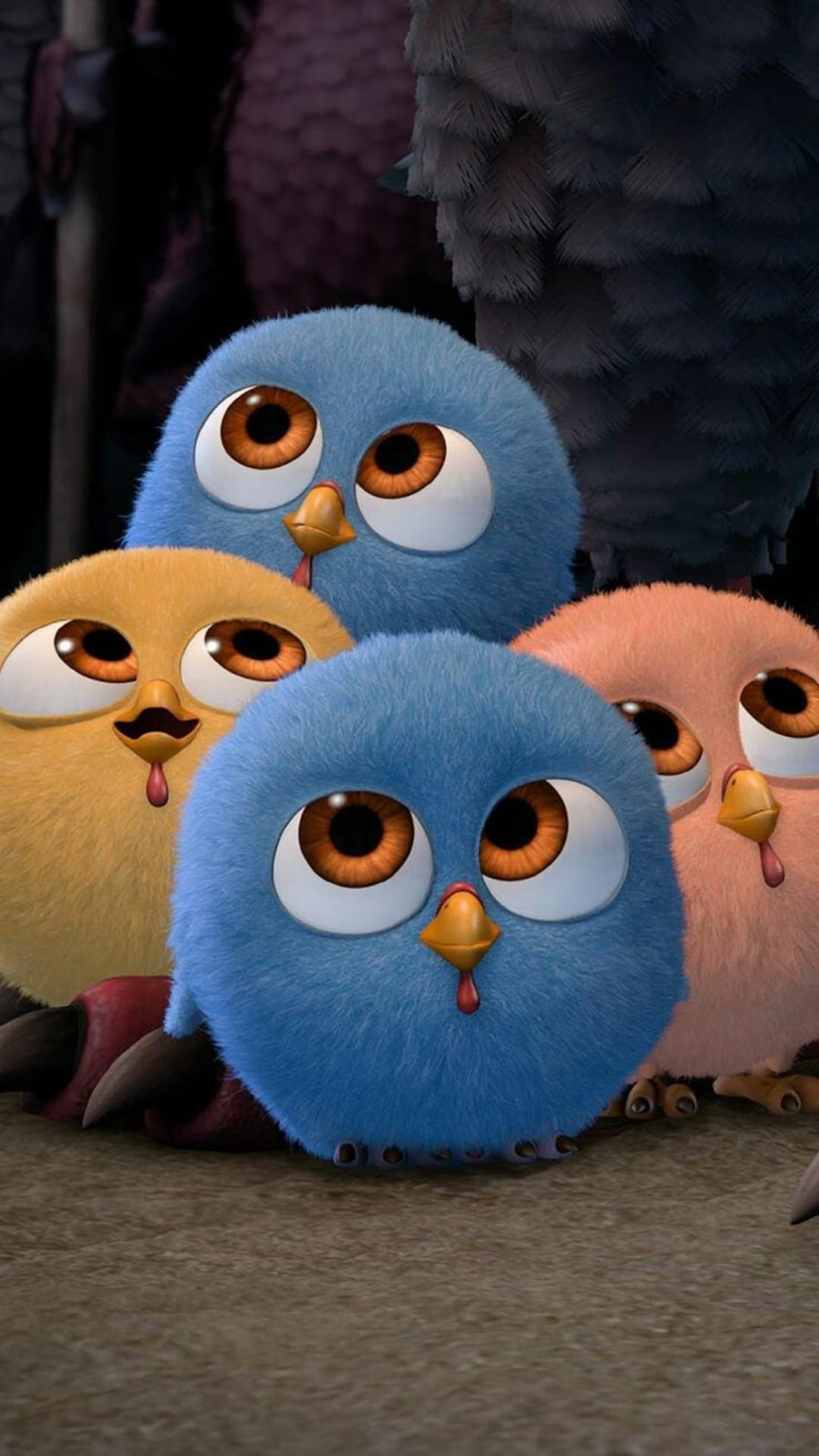 Four fluffy Angry Birds hatchlings with large expressive eyes huddle together in a vibrant colorful group.