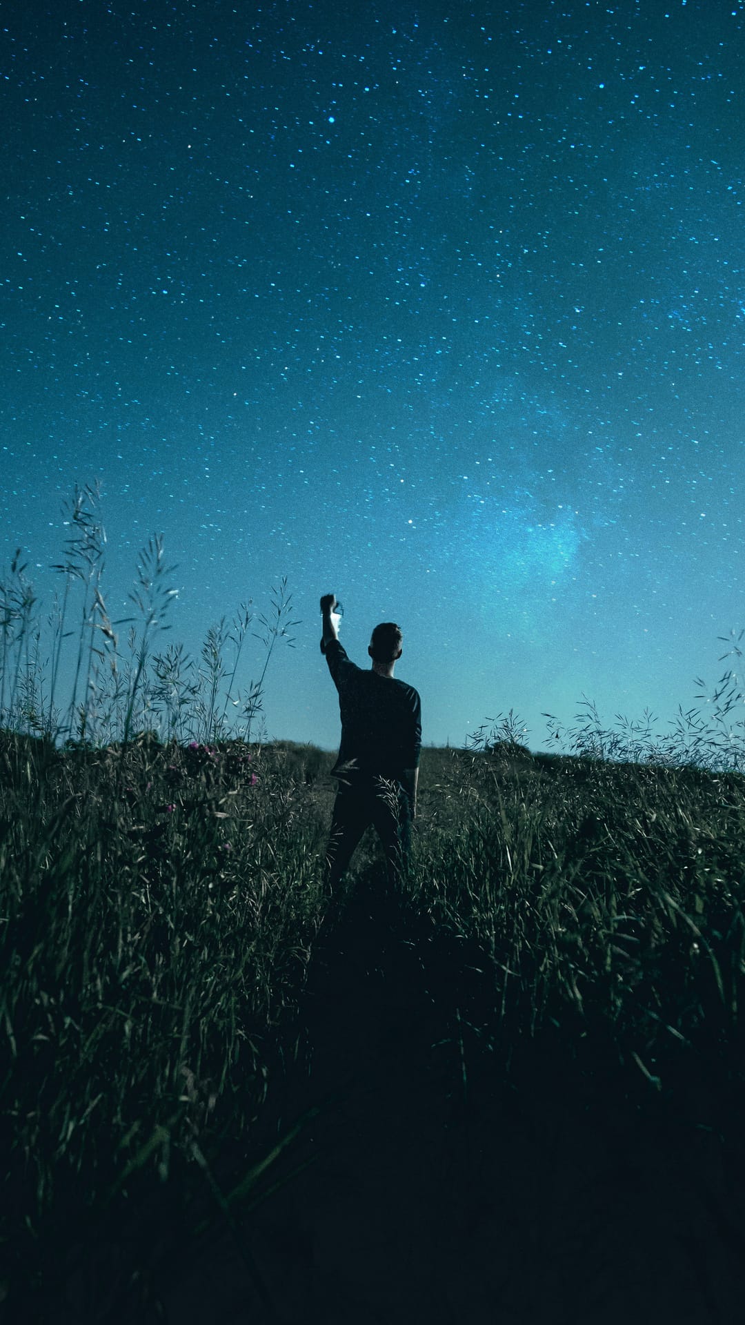 Silhouetted person reaches one arm toward a dense field of stars and glowing nebulae over tall meadow grass.