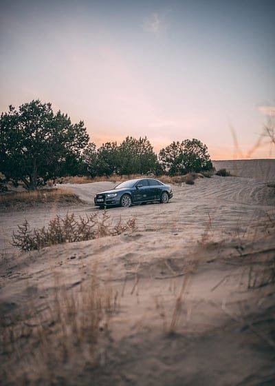 audi, car, sand, trees, mobile wallpaper, android wallpaper, iPhone wallpaper, phone wallpaper