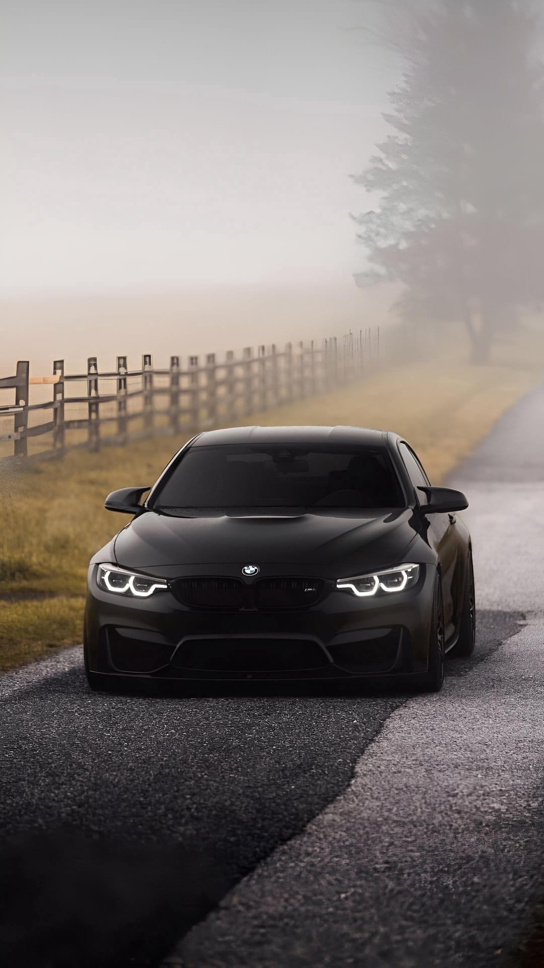 Black BMW M4 parked on a foggy rural road beside a wooden fence with glowing headlights in the morning mist.