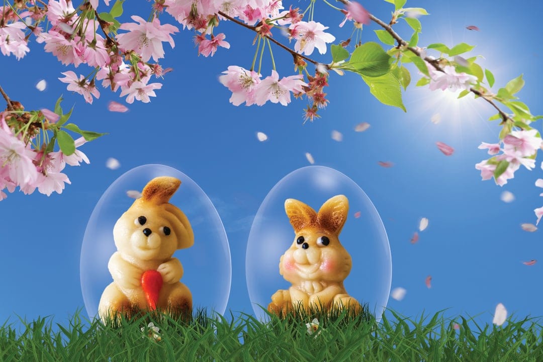 Two golden chocolate bunnies sitting inside clear eggs on green grass under a blooming cherry blossom tree.
