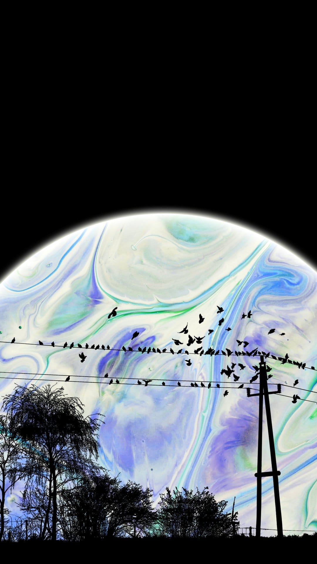 Birds perched on telephone wires against a swirling blue and green sky with bare winter trees and a tall pole.