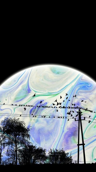planet,sphere,birds,wires,trees