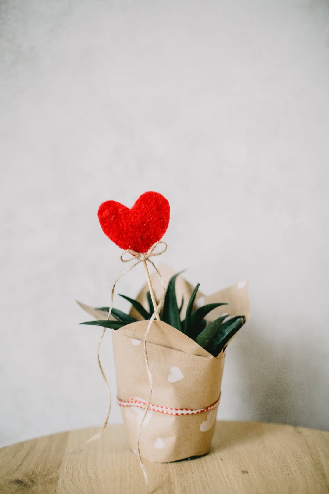 Potted plant wrapped in heart-patterned paper with a red heart ornament on a light wood surface against gray.