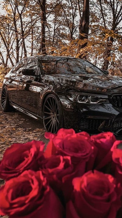Valentine BMW, rose, black, car, sports, america, new, autumn, supercar, mobile wallpaper, android wallpaper, iPhone wallpaper, phone wallpaper
