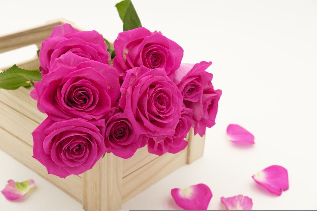 Pink roses in a rustic wooden crate with scattered petals on a dark surface, captured in a vertical orientation.