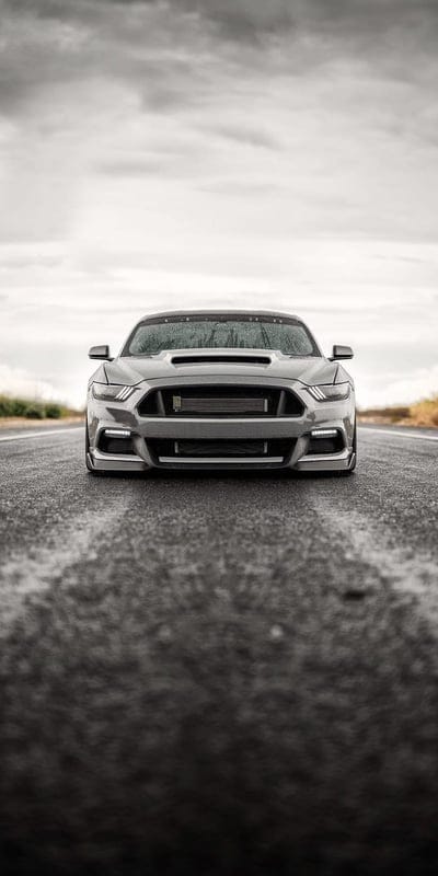 Mustang, auto, car, devil, ford, mucle, graphy, road, stance, mobile wallpaper, android wallpaper, iPhone wallpaper, phone wallpaper