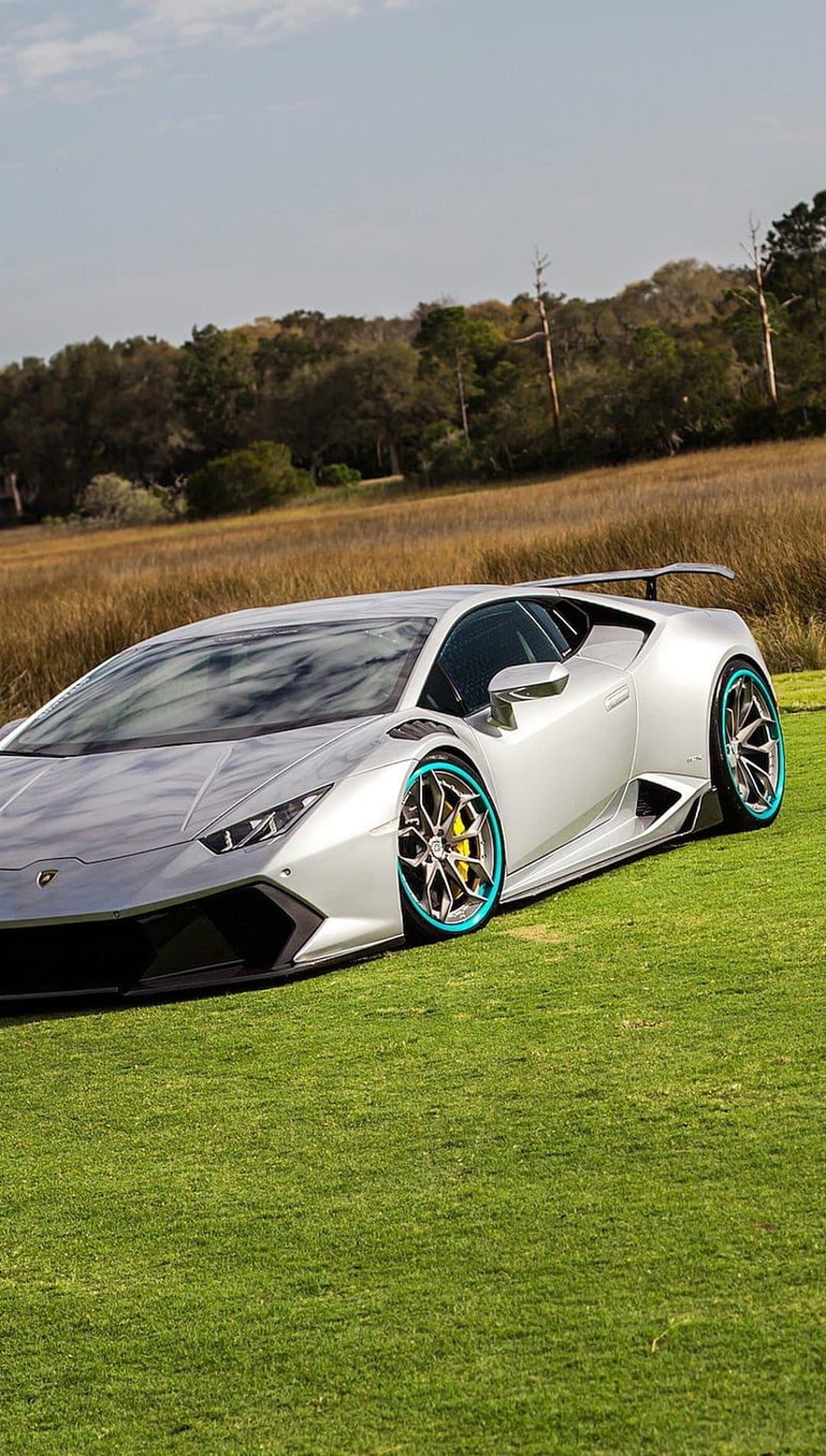 Silver Lamborghini Huracan featuring teal wheels parked on green grass under a partly cloudy sky in nature.