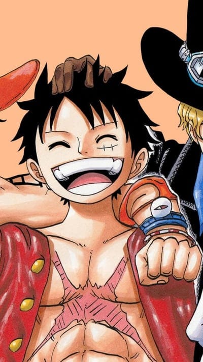 One Piece, Monkey D. Luffy , Portgas D. Ace , Sabo