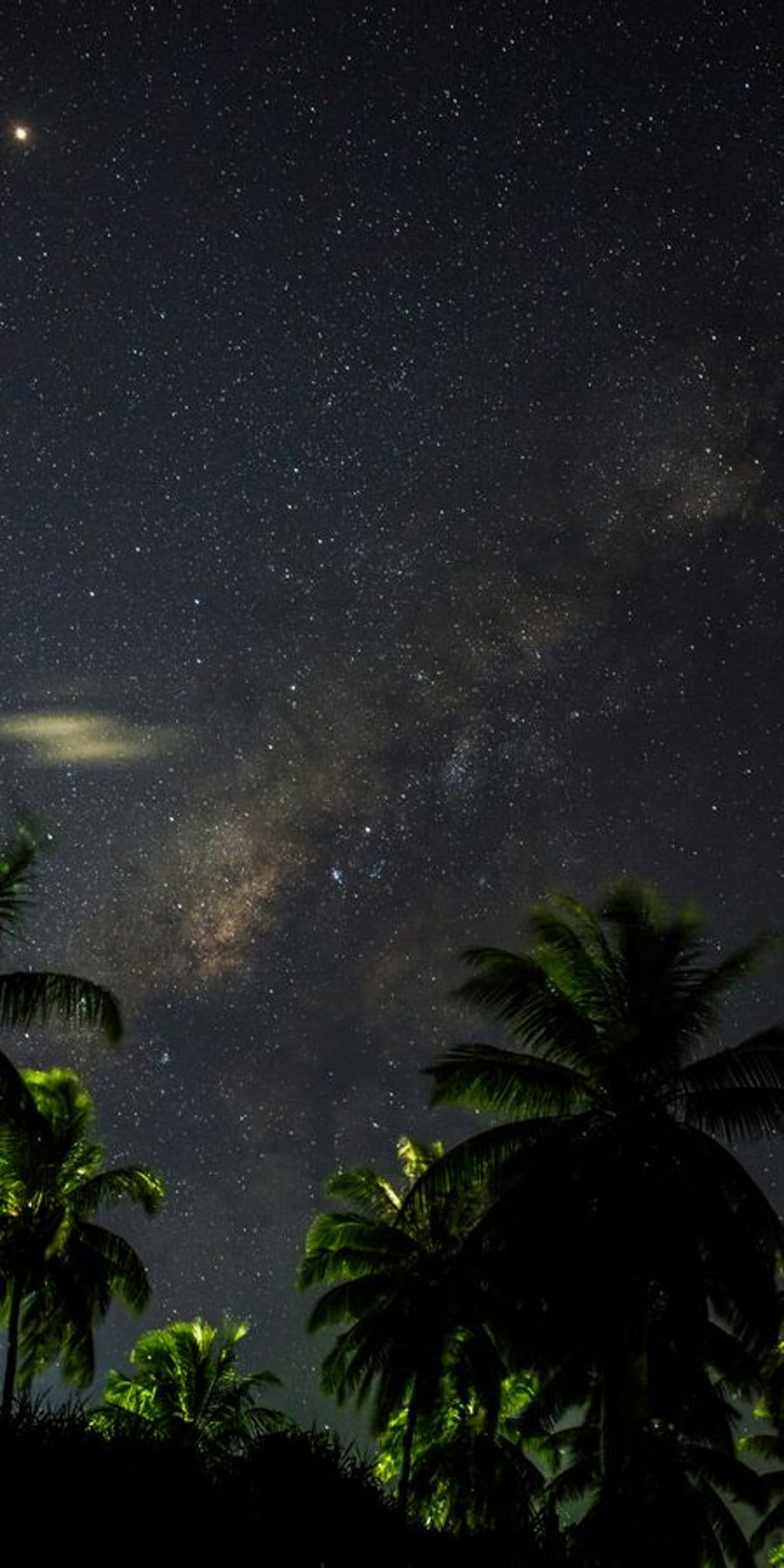Palm tree silhouettes frame a bright Milky Way galaxy with a glowing planet in a dark tropical night sky.