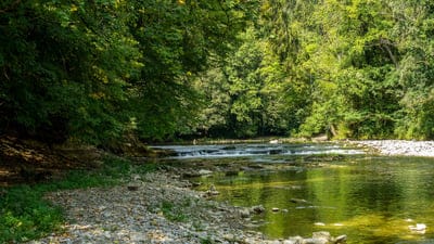 nature,landscape,forest,water,flow,scenic,mystical,idyll,idyllic,beautiful nature,beautiful wallpaper,cool backgrounds,free wallpaper,nature background,desktop backgrounds,full hd wallpaper,hd wallpaper,4k wallpaper,4k wallpaper,windows wallpaper