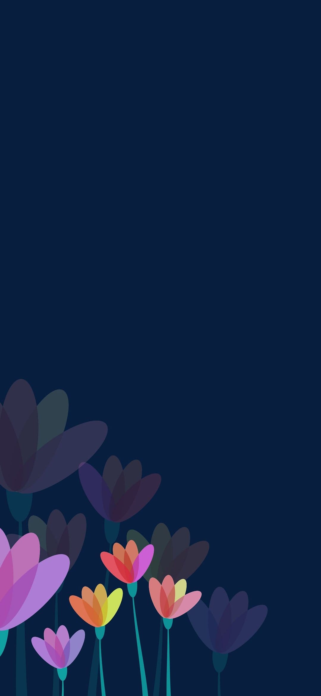 Translucent pink and orange flowers cluster at the base of a dark blue-green background in a vertical layout.