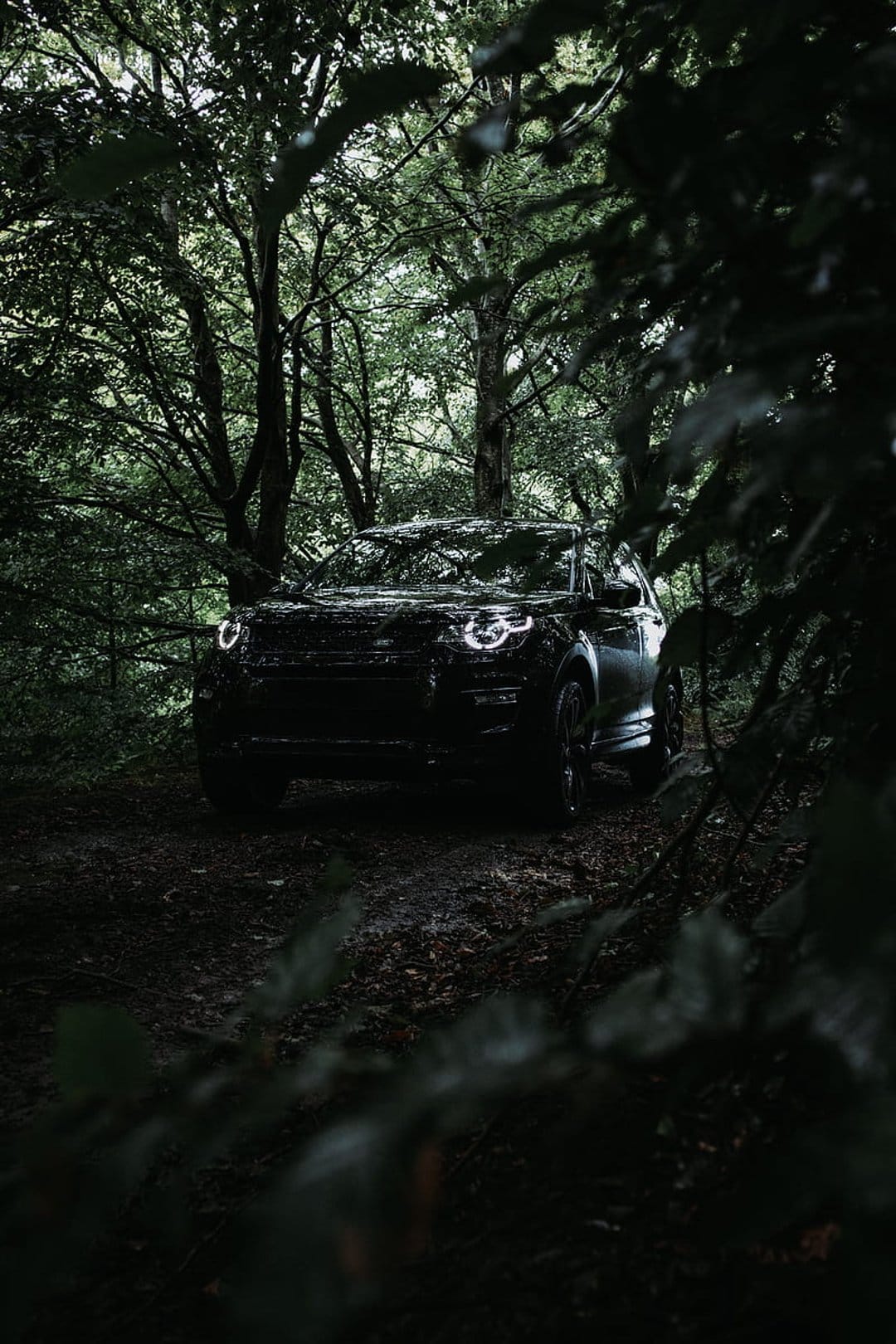 Black SUV with glowing headlights driving through a dense, dark forest with ferns and tall trees at night.