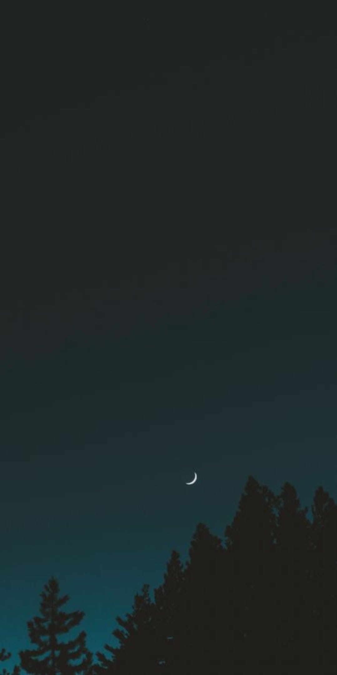 White crescent moon shining over the jagged black silhouette of a coniferous forest under a teal night sky.