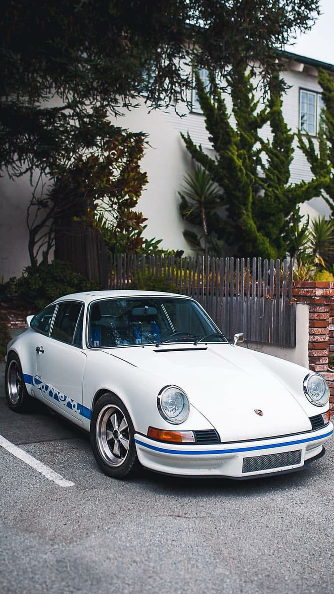 White Porsche 911 Carrera with blue racing stripes parked on asphalt near a wooden fence and leafy green trees.